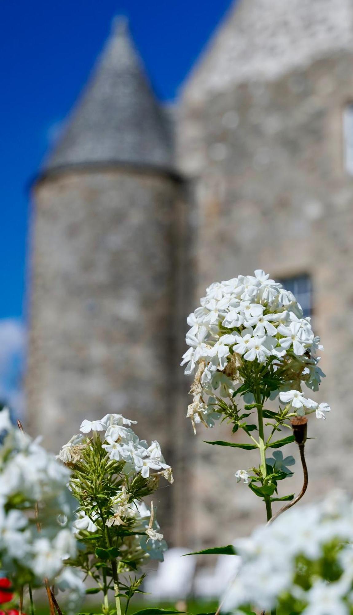 Alojamento de Turismo Selvagem The @ Barra Castle *
